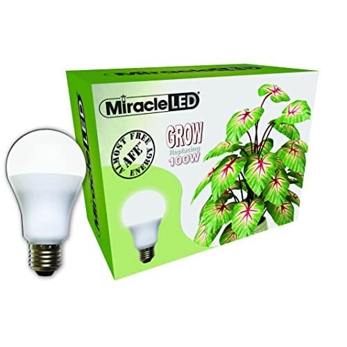 Miracle LED Almost Free Energy 9W Spectrum Grow Lite - Daylight White Full Spectrum LED Indoor Plant Growing Light Bulb for DIY Horticulture, Hyd